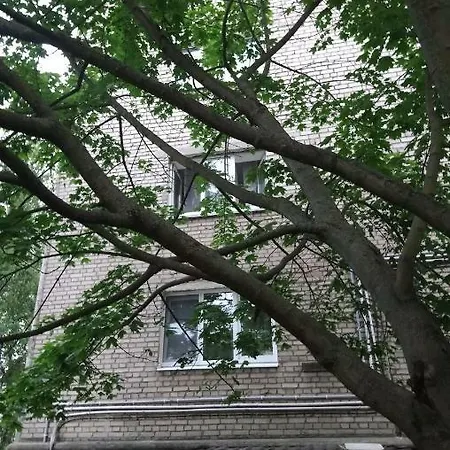 On Shornyaya, 18 Мінськ